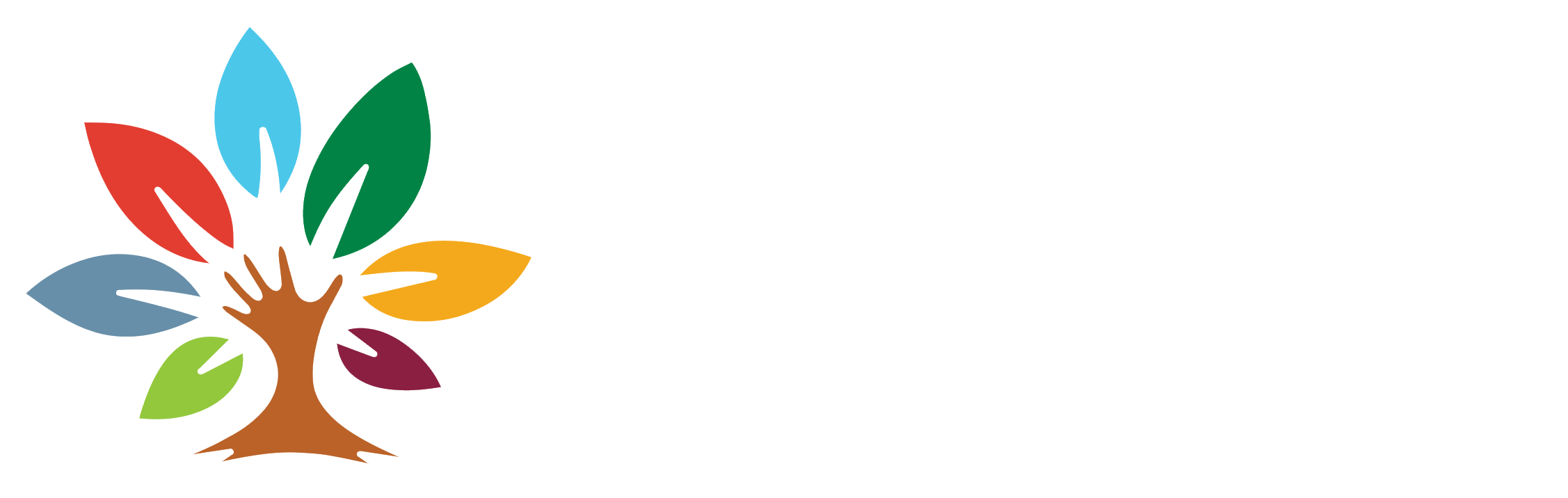 about-chillicothe-park-district-foundation